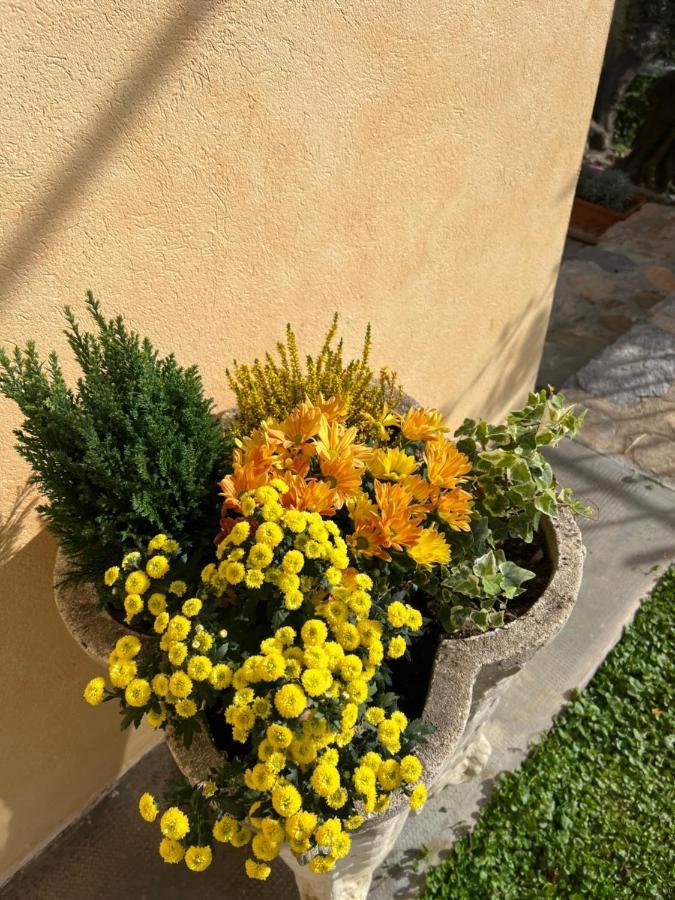 Agriturismo Le Merline Arnasco Екстер'єр фото